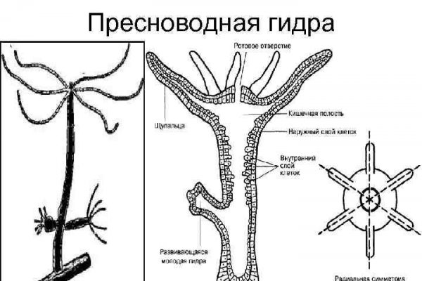 Где найти ссылку кракен