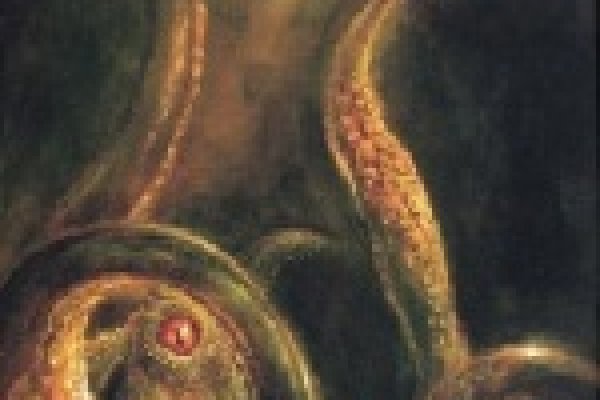 Kraken url